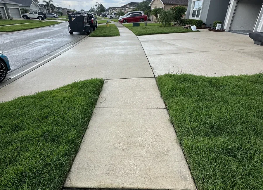 Freshly pressure-washed driveway and walkway